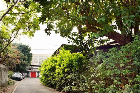 simsearch:400-04702280,k - Township scenery with green trees and buildings with red door in morning in Taiwan, Asia. Stockbilder - Microstock & Abonnement, Bildnummer: 400-04344649