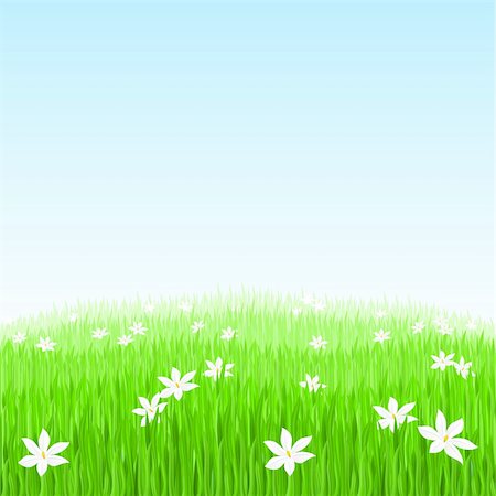 simsearch:400-04706517,k - Illustration of Green grass with white flowers Stock Photo - Budget Royalty-Free & Subscription, Code: 400-04344736