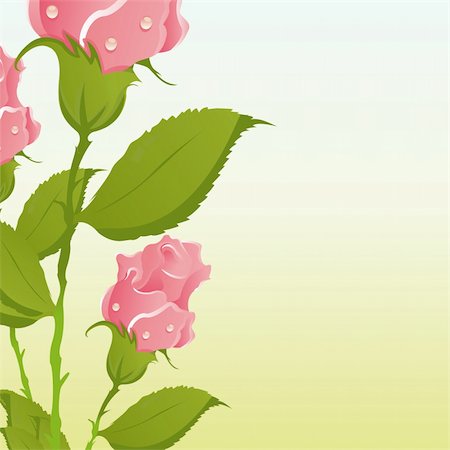 simsearch:400-04331987,k - beautiful roses background Foto de stock - Super Valor sin royalties y Suscripción, Código: 400-04344907