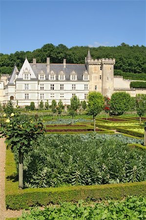 garden in  villandry, france Photographie de stock - Aubaine LD & Abonnement, Code: 400-04345635