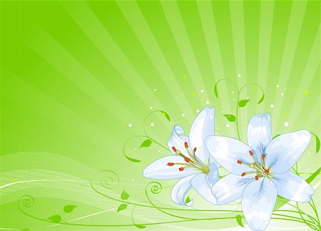 easter lily background - Radial background of Easter lilies Stock Photo - Budget Royalty-Free & Subscription, Code: 400-04345956
