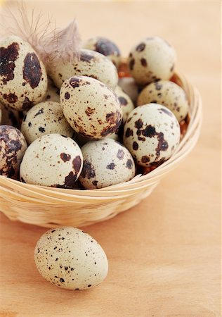 simsearch:400-04406903,k - quail eggs in the basket with the plumelet Fotografie stock - Microstock e Abbonamento, Codice: 400-04346122