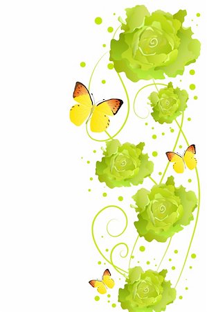 rose butterfly illustration - green roses on white background (vector illustration) Stock Photo - Budget Royalty-Free & Subscription, Code: 400-04346660