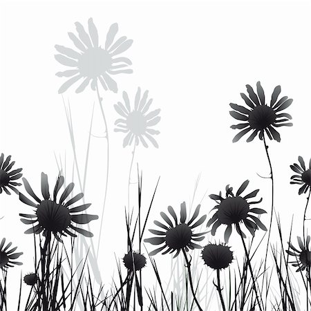 Floral seamless background camomile flower. Vector illustration. EPS10 Foto de stock - Super Valor sin royalties y Suscripción, Código: 400-04347927