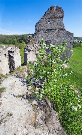 simsearch:400-05243959,k - Spring view of Castle ruins (Sydoriv village, Ternopil region, Ukraine). Foto de stock - Royalty-Free Super Valor e Assinatura, Número: 400-04348290