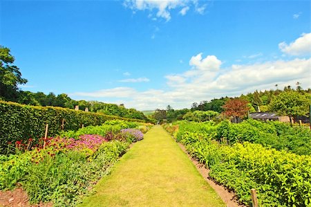 Beautiful Spring garden, UK Foto de stock - Royalty-Free Super Valor e Assinatura, Número: 400-04348513