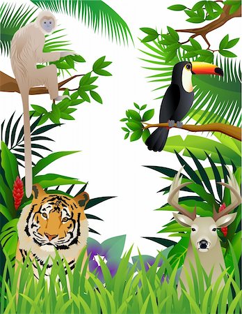 forest cartoon illustration - Vector illustration of animal in the jungle Foto de stock - Super Valor sin royalties y Suscripción, Código: 400-04349077