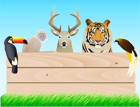 Vector wild animal Stock Photo - Budget Royalty-Free & Subscription, Code: 400-04349335