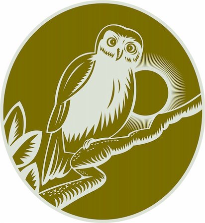 illustration of an owl perched on a tree branch Photographie de stock - Aubaine LD & Abonnement, Code: 400-04349701