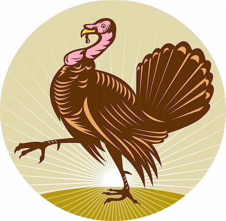 illustration of a Wild turkey walking side view done in retro woodcut style with sunburst in background Stock Photo - Budget Royalty-Free & Subscription, Code: 400-04349724