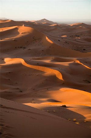simsearch:400-04340052,k - Desert dunes in Morocco Photographie de stock - Aubaine LD & Abonnement, Code: 400-04340006