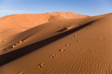 simsearch:400-04340052,k - Desert dunes in Morocco Photographie de stock - Aubaine LD & Abonnement, Code: 400-04340007