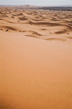 simsearch:400-05137674,k - Desert dunes in Morocco Stockbilder - Microstock & Abonnement, Bildnummer: 400-04340022