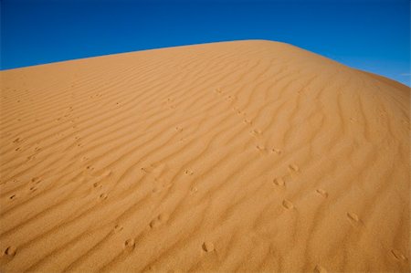 simsearch:400-05137674,k - Desert dunes in Morocco Stockbilder - Microstock & Abonnement, Bildnummer: 400-04340038
