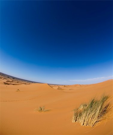 simsearch:400-05137674,k - Desert dunes in Morocco Stockbilder - Microstock & Abonnement, Bildnummer: 400-04340033