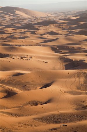 simsearch:400-04340040,k - Desert dunes in Morocco Photographie de stock - Aubaine LD & Abonnement, Code: 400-04340054