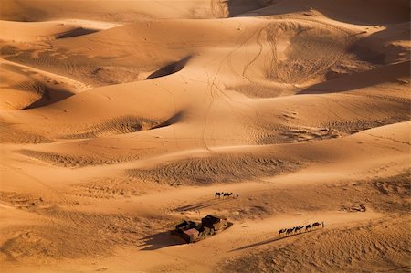 simsearch:400-04340052,k - Desert dunes in Morocco Photographie de stock - Aubaine LD & Abonnement, Code: 400-04340051