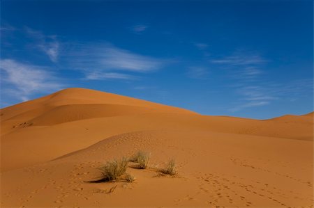 simsearch:400-04340052,k - Desert dunes in Morocco Photographie de stock - Aubaine LD & Abonnement, Code: 400-04340053