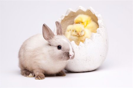 simsearch:400-04106227,k - Happy Easter Photographie de stock - Aubaine LD & Abonnement, Code: 400-04340150