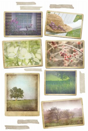 simsearch:400-06068658,k - Collection of seasonal photos in vintage frames with tape Stock Photo - Budget Royalty-Free & Subscription, Code: 400-04340450