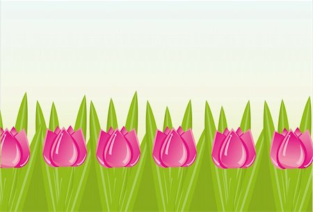 simsearch:400-04331987,k - colorful tulips background Foto de stock - Super Valor sin royalties y Suscripción, Código: 400-04340688