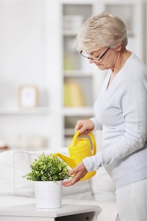 simsearch:400-04026005,k - Mature attractive woman watering flowers at home Foto de stock - Super Valor sin royalties y Suscripción, Código: 400-04340833