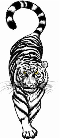 simsearch:400-08677505,k - Vector illustration of black and white Crouching Tiger with yellow eyes. Stock Photo - Budget Royalty-Free & Subscription, Code: 400-04341289