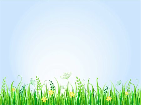 simsearch:400-04706517,k - Beautiful green meadow. Vector Illustration of Grass at Lawn With Blue Sky Stock Photo - Budget Royalty-Free & Subscription, Code: 400-04342758