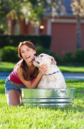 dog licking women pictures - A beautiful young woman being licked by her pet dog, a bulldog, while washing him outside in a metal tub Photographie de stock - Aubaine LD & Abonnement, Code: 400-04343279