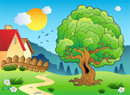 simsearch:400-06091808,k - Meadow with big leafy tree - vector illustration. Stockbilder - Microstock & Abonnement, Bildnummer: 400-04343853