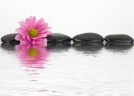 petal on stone - An image of black stones with reflections in water Stock Photo - Budget Royalty-Free & Subscription, Code: 400-04354057