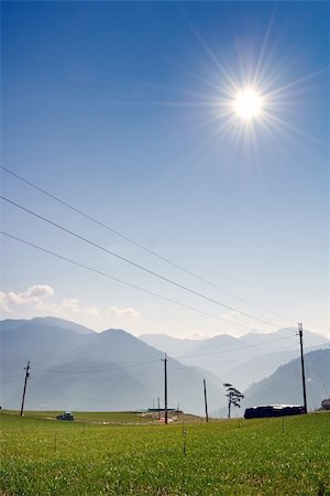 simsearch:400-05257169,k - Rural scenery with green farm under blue sky and bright sunlight in Fushoushan Farm, Taiwan, Asia. Stock Photo - Budget Royalty-Free & Subscription, Code: 400-04354074