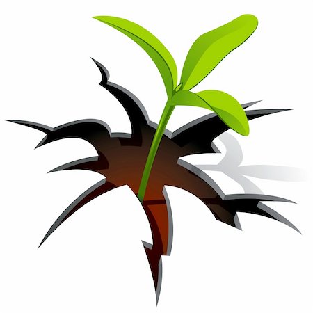 percée (découverte) - Young plant break through white background. Vector Illustration Photographie de stock - Aubaine LD & Abonnement, Code: 400-04354170