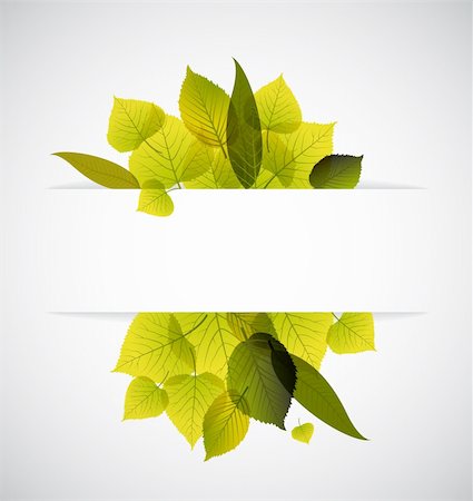 simsearch:400-04221461,k - Spring leafs abstract background with place for your text Stock Photo - Budget Royalty-Free & Subscription, Code: 400-04354832
