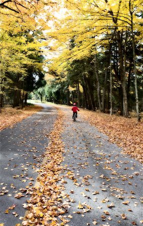 simsearch:400-04644582,k - Autumn Leaves on road northern Michigan child on bicycle Photographie de stock - Aubaine LD & Abonnement, Code: 400-04354960