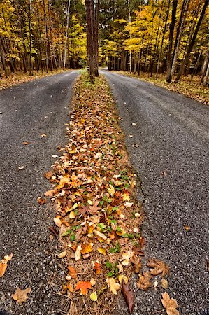 simsearch:400-04644582,k - Autumn Leaves on road northern Michigan Photographie de stock - Aubaine LD & Abonnement, Code: 400-04354961