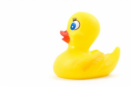 isolated toy rubber duck for playing in the bathroom Stock Photo - Budget Royalty-Free & Subscription, Code: 400-04355724