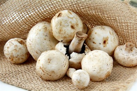 simsearch:400-07430898,k - fresh organic field mushrooms in a bag Photographie de stock - Aubaine LD & Abonnement, Code: 400-04355798
