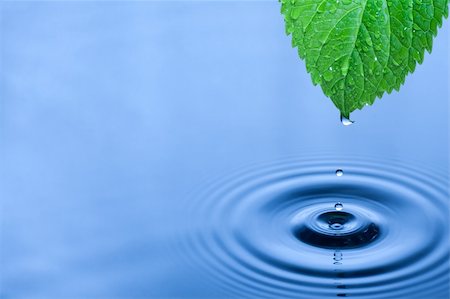 energy water drops - Green leaf with splashing water drops. Stock Photo - Budget Royalty-Free & Subscription, Code: 400-04355947