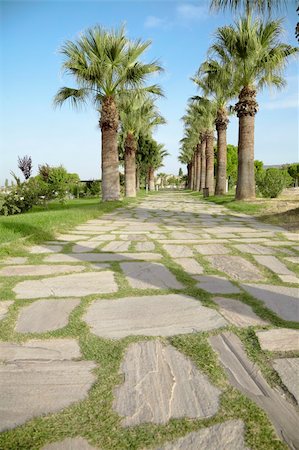 palm alley on the hill Pamukkale, Turkey Foto de stock - Super Valor sin royalties y Suscripción, Código: 400-04356383