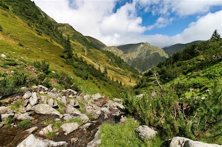 simsearch:400-05219358,k - a small river in Fagaras Mountains, Romania Photographie de stock - Aubaine LD & Abonnement, Code: 400-04356625