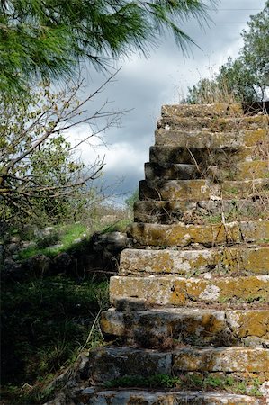 simsearch:400-05352419,k - Grassed stone staircase of an abandoned rural house. Fotografie stock - Microstock e Abbonamento, Codice: 400-04356630
