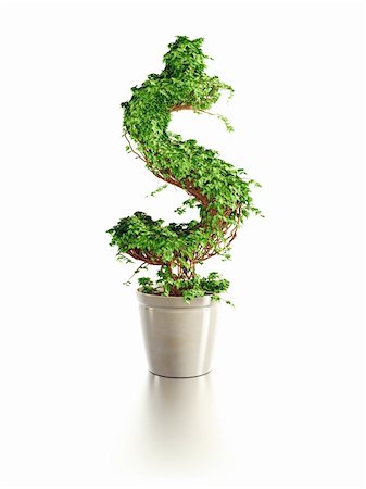 dollar sign with plants - growing dollar tree isolated 3d render Stock Photo - Budget Royalty-Free & Subscription, Code: 400-04357020