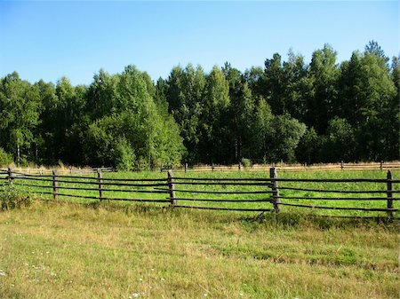 There are rural fence, trees and blue sky Stock Photo - Budget Royalty-Free & Subscription, Code: 400-04357836