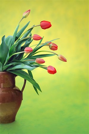 red lifestyle spring - Red tulips in old jug over colored background Stock Photo - Budget Royalty-Free & Subscription, Code: 400-04359980
