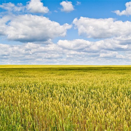 simsearch:400-03997550,k - beautiful landscape with blue sky and white clouds Stock Photo - Budget Royalty-Free & Subscription, Code: 400-04350141