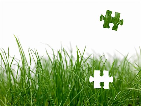 simsearch:400-04324218,k - Green grass siolated against a white background Stock Photo - Budget Royalty-Free & Subscription, Code: 400-04352440