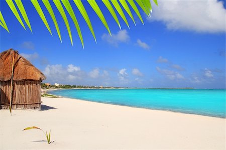 Caribbean palapa front tropical beach Mayan Riviera Mexico Stock Photo - Budget Royalty-Free & Subscription, Code: 400-04352892