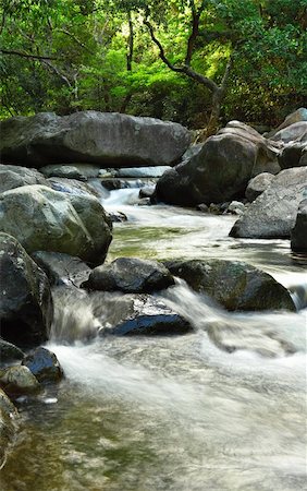 simsearch:400-04424246,k - water spring in forest Foto de stock - Super Valor sin royalties y Suscripción, Código: 400-04353061