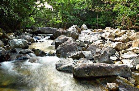 simsearch:400-04424246,k - water spring in forest Foto de stock - Super Valor sin royalties y Suscripción, Código: 400-04353062